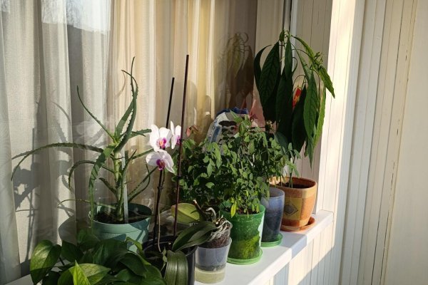 2-комнатная квартира по адресу Заславская ул., д. 12 - фото 19