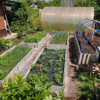 Фотография Продается участок с/т. Родник-мелиоратор - фото 9