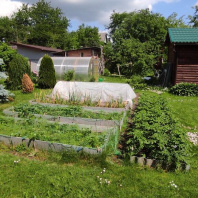 Фотография Продается участок с/т. Родник-мелиоратор - фото 3