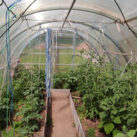 Фотография Продается участок с/т. Родник-мелиоратор - фото 10