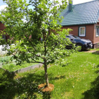 Фотография Продается участок с/т. Родник-мелиоратор - фото 11