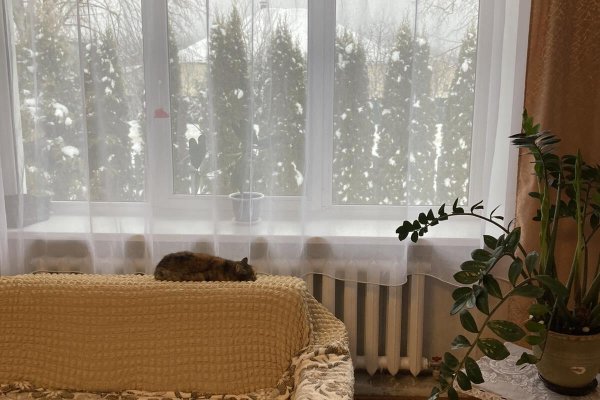 Продается дом д. Цесино - фото 6