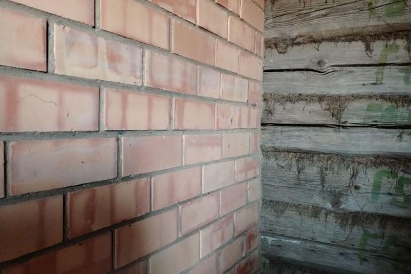 Продается дача с/т. Криница-1989 - фото 9