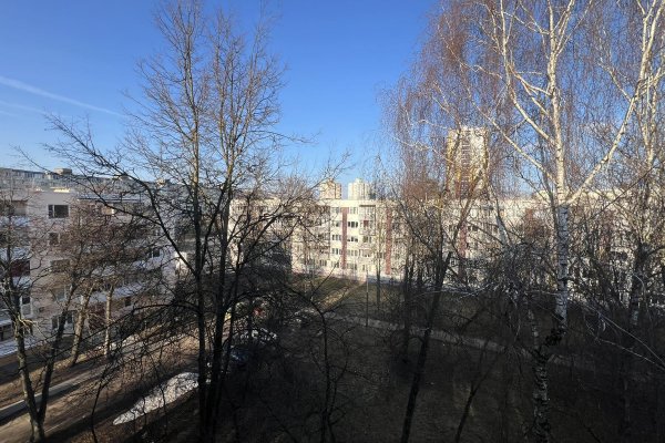 2-комнатная квартира по адресу Рокоссовского просп., д. 144 - фото 3