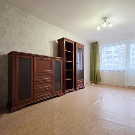 Фотография 1-комнатная квартира по адресу Лещинского ул., д. 25 - фото 4