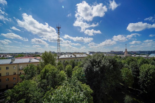 3-комнатная квартира по адресу Киселева ул., д. 17 - фото 5