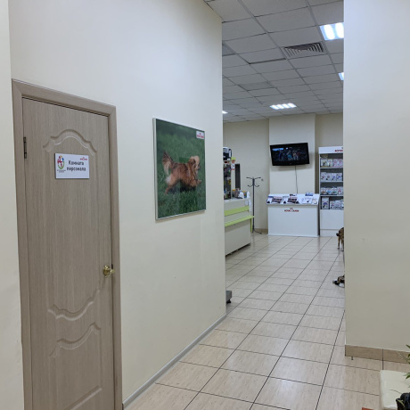 Фотография Продается торговое помещение по адресу г. Минск, Жудро ул., д. 71 к. А - фото 6
