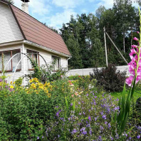 Фотография Продается дача с/т. Трактор - фото 1