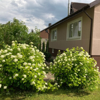 Фотография Продается дом д. Цесино - фото 1