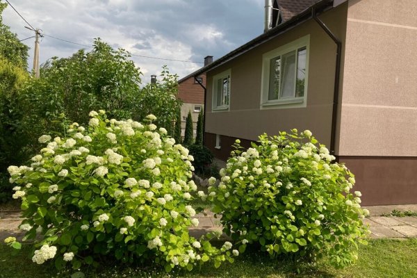 Продается дом д. Цесино - фото 1