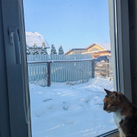 Фотография Продается полдома г. Заславль, Титова ул. - фото 1