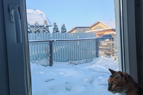Продается полдома г. Заславль, Титова ул. - фото 1