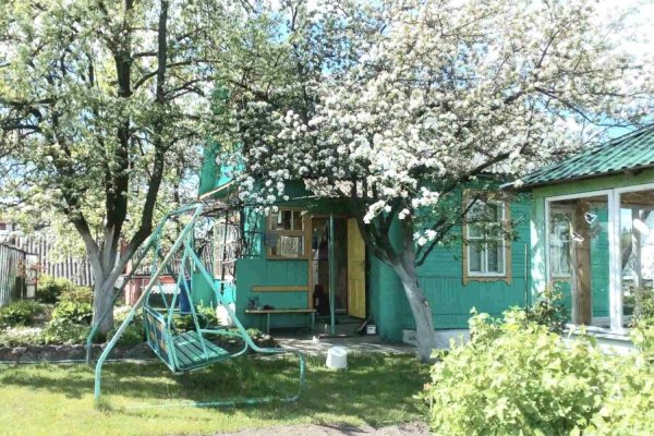 Продается дача с/т. Лесное-Векшицы - фото 11
