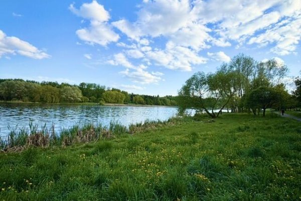 4-комнатная квартира по адресу Брестская ул., д. 74 - фото 14