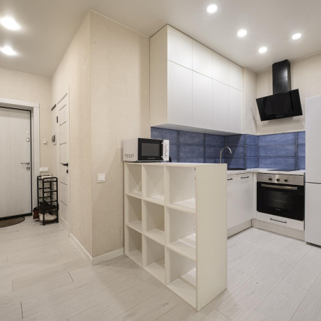 Фотография 1-комнатная квартира по адресу Левина ул., д. 13 - фото 1