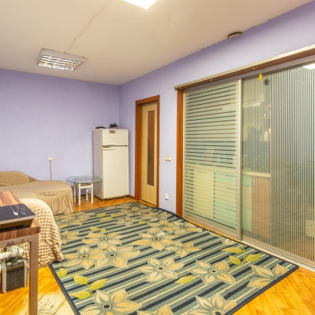 Фотография 1-комнатная квартира по адресу Пушкина просп., д. 36 - фото 1