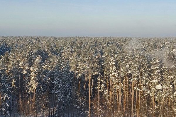 3-комнатная квартира по адресу Спортивная ул., д. 4 - фото 1