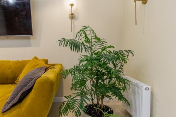 3-комнатная квартира по адресу Червякова ул., д. 55 - фото 4