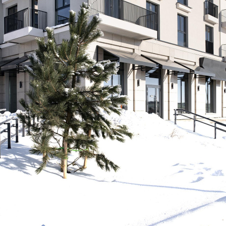 Фотография 2-комнатная квартира по адресу Виталия Цвирко ул., д. 67 - фото 19