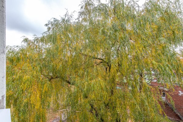 2-комнатная квартира по адресу Мавра ул., д. 42 - фото 15