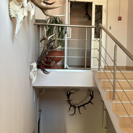 Фотография Сдается офисное помещение по адресу г. Минск, Хоружей ул., д. 32 к. а - фото 7