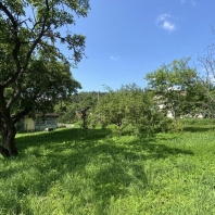 Фотография Продается дом с/т. Дружба - фото 2