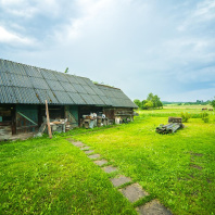 Фотография Продается дом д. Недреска, Центральная ул. - фото 3