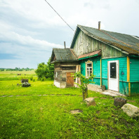 Фотография Продается дом д. Недреска, Центральная ул. - фото 5