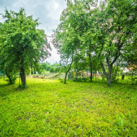 Фотография Продается дом д. Недреска, Центральная ул. - фото 13
