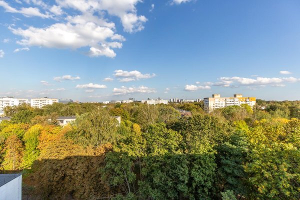 2-комнатная квартира по адресу Голодеда ул., д. 51 к. 2 - фото 19