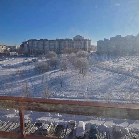 Фотография 1-комнатная квартира по адресу Гошкевича ул., д. 20 - фото 2