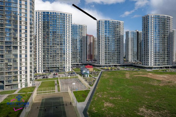 1-комнатная квартира по адресу Жореса Алфёрова ул., д. 12 - фото 16