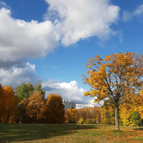 Фотография 1-комнатная квартира по адресу Сердича ул., д. 66 - фото 15
