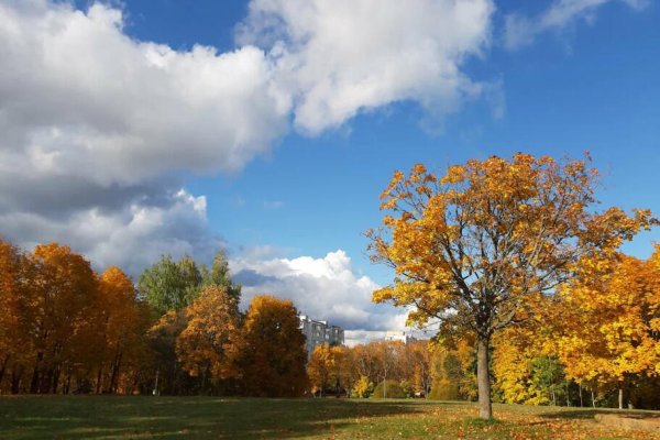 1-комнатная квартира по адресу Сердича ул., д. 66 - фото 15