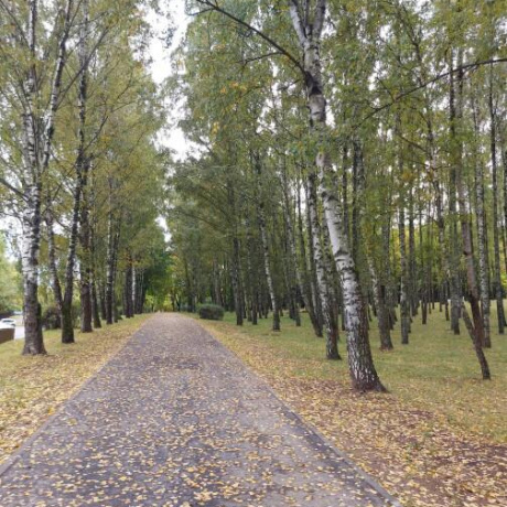 Фотография 1-комнатная квартира по адресу Сердича ул., д. 66 - фото 14