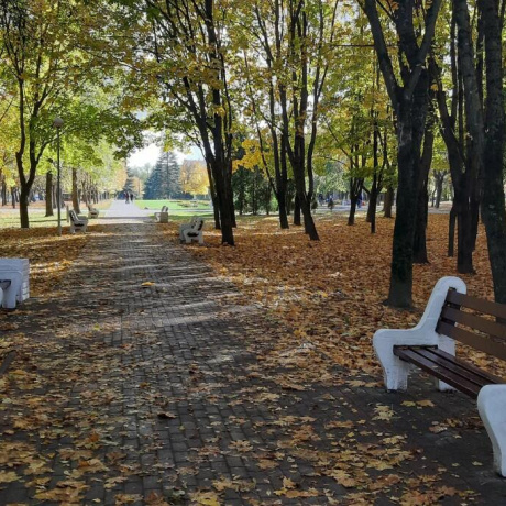 Фотография 1-комнатная квартира по адресу Сердича ул., д. 66 - фото 13