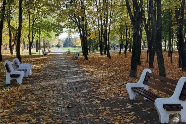 1-комнатная квартира по адресу Сердича ул., д. 66 - фото 13