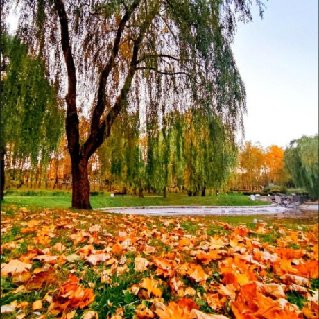 Фотография 1-комнатная квартира по адресу Сердича ул., д. 66 - фото 16