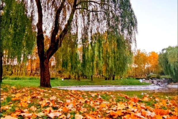 1-комнатная квартира по адресу Сердича ул., д. 66 - фото 16