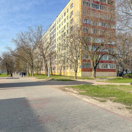 Фотография 1-комнатная квартира по адресу Пушкина просп., д. 36 - фото 7