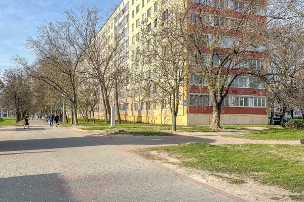 1-комнатная квартира по адресу Пушкина просп., д. 36 - фото 7