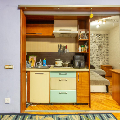 Фотография 1-комнатная квартира по адресу Пушкина просп., д. 36 - фото 3