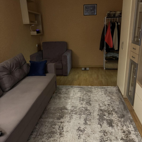 Фотография 1-комнатная квартира по адресу Александрова ул., д. 16 - фото 9