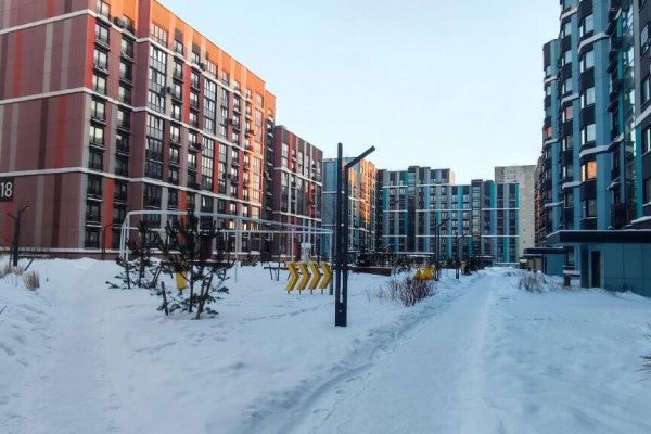 1-комнатная квартира по адресу Михаила Миля ул., д. 24 - фото 2