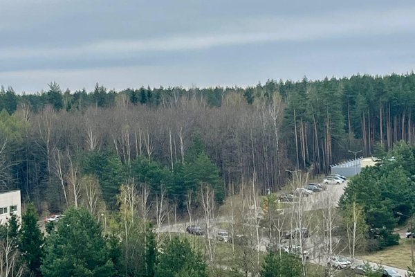 2-комнатная квартира по адресу Скорины ул., д. 41 - фото 14