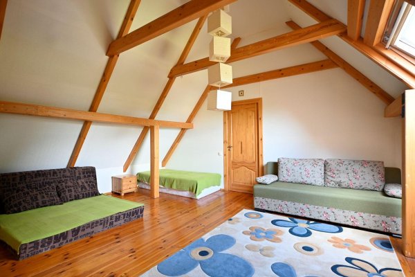 Продается дом с/т. Птичь - фото 12