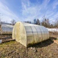 Фотография Продается дача с/т. Родной уголок-2002 - фото 13