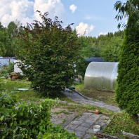 Фотография Продается дача с/т. Родной уголок-2002 - фото 16