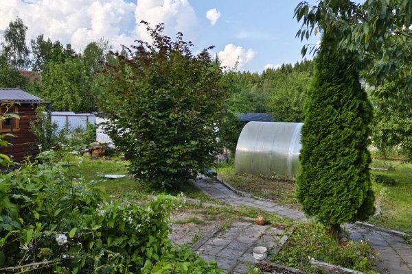 Продается дача с/т. Родной уголок-2002 - фото 16