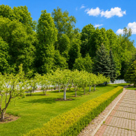 Фотография Продается дом д. Волковичи, Адгама Каримова ул. - фото 7